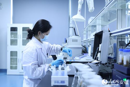 科技赋能“药都”新篇章 探访亳州中药材种苗“植物工厂”