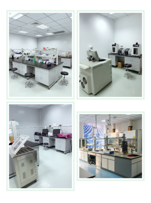 Abbkine偶联标记技术服务正式上线，引领生物技术开发新篇章