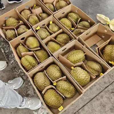 预包装食品 4房肉以上榴莲的供应、价格与批发指南