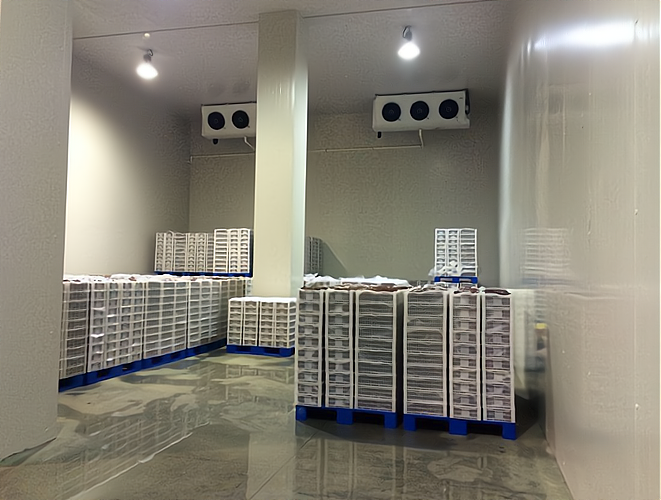 开一个雪糕批发冷库 专业指导，创业无忧！预包装食品批发策略